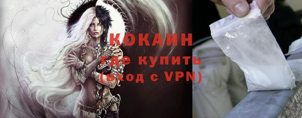 стафф Ладушкин