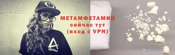 ГАЛЛЮЦИНОГЕННЫЕ ГРИБЫ Лагань