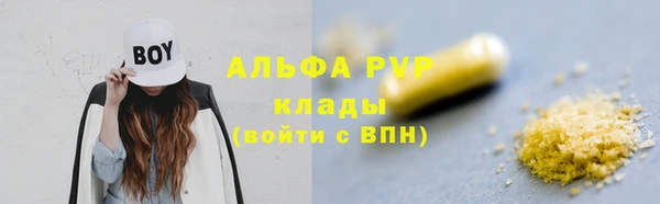 стафф Ладушкин