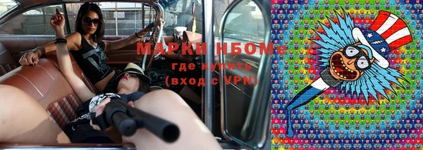 ГАЛЛЮЦИНОГЕННЫЕ ГРИБЫ Лагань