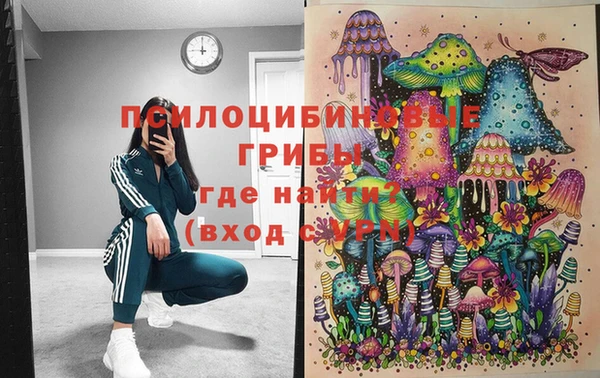 стафф Ладушкин