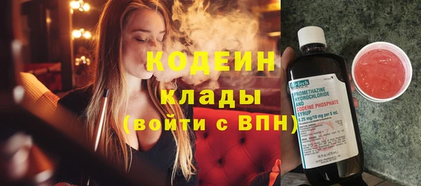 ГАЛЛЮЦИНОГЕННЫЕ ГРИБЫ Лагань