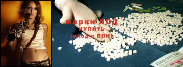 ГАЛЛЮЦИНОГЕННЫЕ ГРИБЫ Лагань