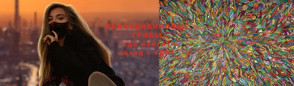 ГАЛЛЮЦИНОГЕННЫЕ ГРИБЫ Лагань
