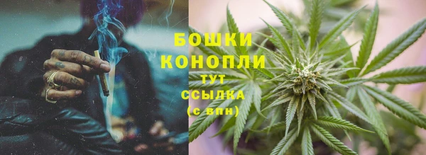 ГАЛЛЮЦИНОГЕННЫЕ ГРИБЫ Лагань