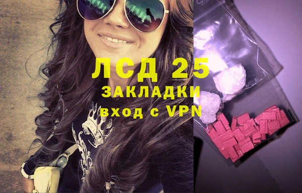 ГАЛЛЮЦИНОГЕННЫЕ ГРИБЫ Лагань