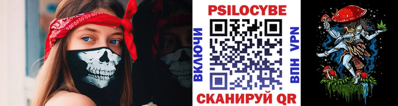 Купить  Фрязино  Галлюциногенные грибы Magic Shrooms 
