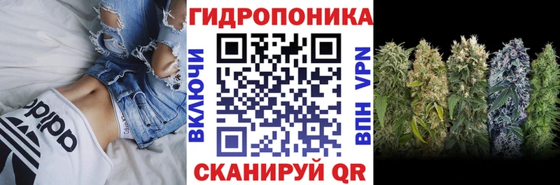 Каннабис сатива  Купить  Фрязино 